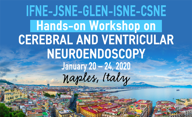 IFNE-JSNE-GLEN-ISNE Hands-on Workshop on Cerebral and Ventricular Neuroendoscopy