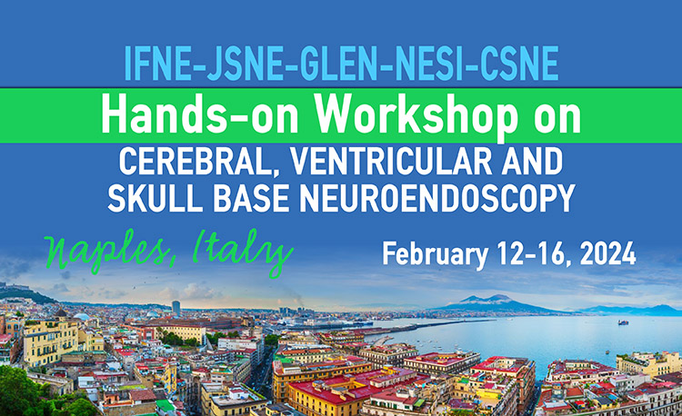 IFNE-JSNE-GLEN-NESI-CSNE Hands-on Workshop on Cerebral, Ventricular and skull base Neuroendoscopy